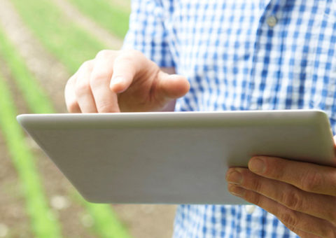 manager agricoltura, economia agraria, puglia, gioia del colle, agronomo, nicola giannico